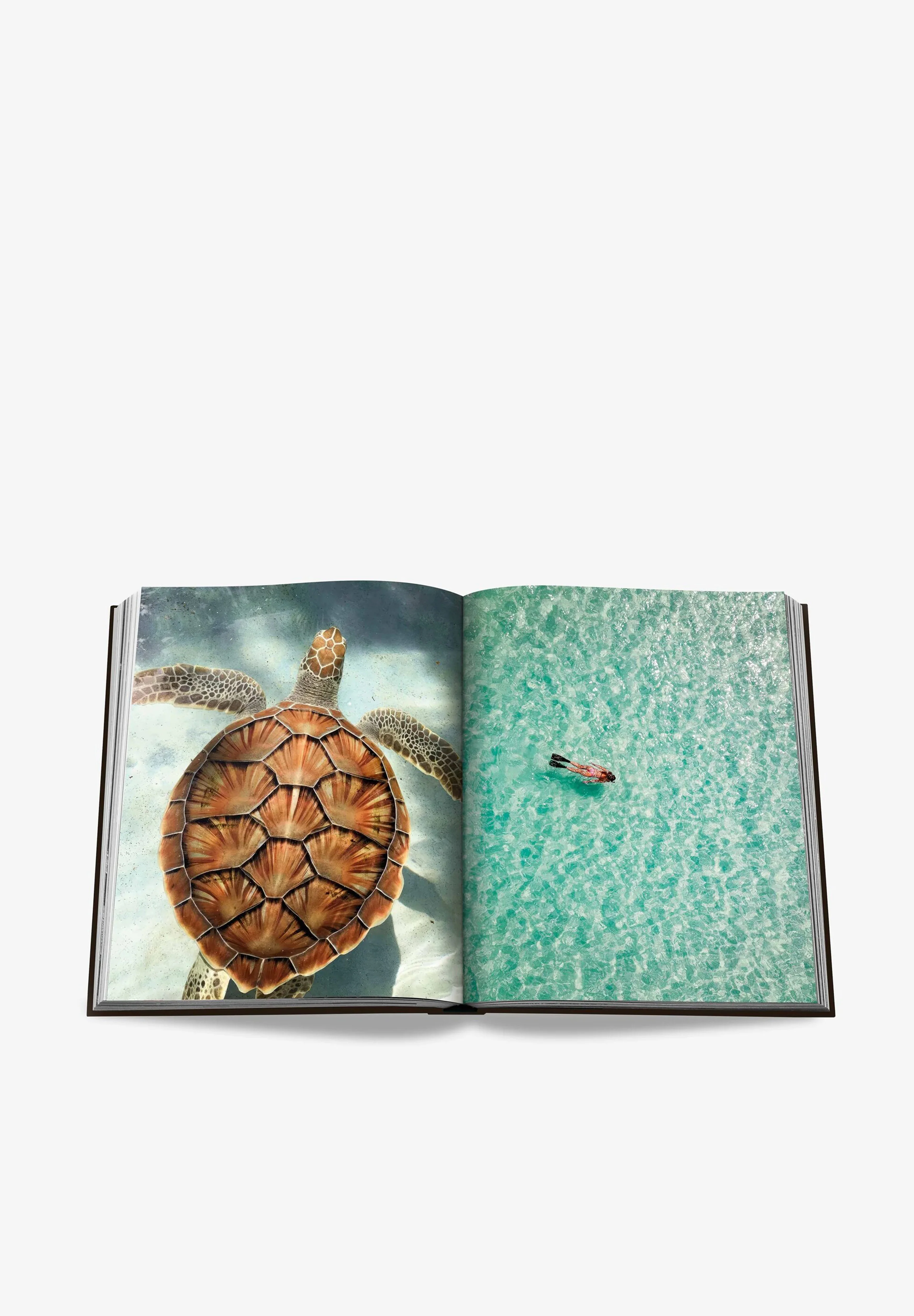 ASSOULINE | LIBRO JAMAICA VIBES - Image 3