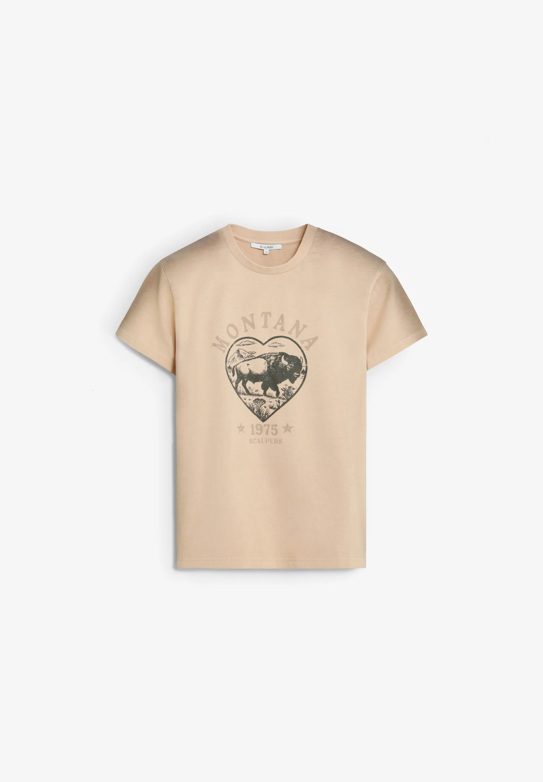 CAMISETA PRINT MONTANA - Image 4