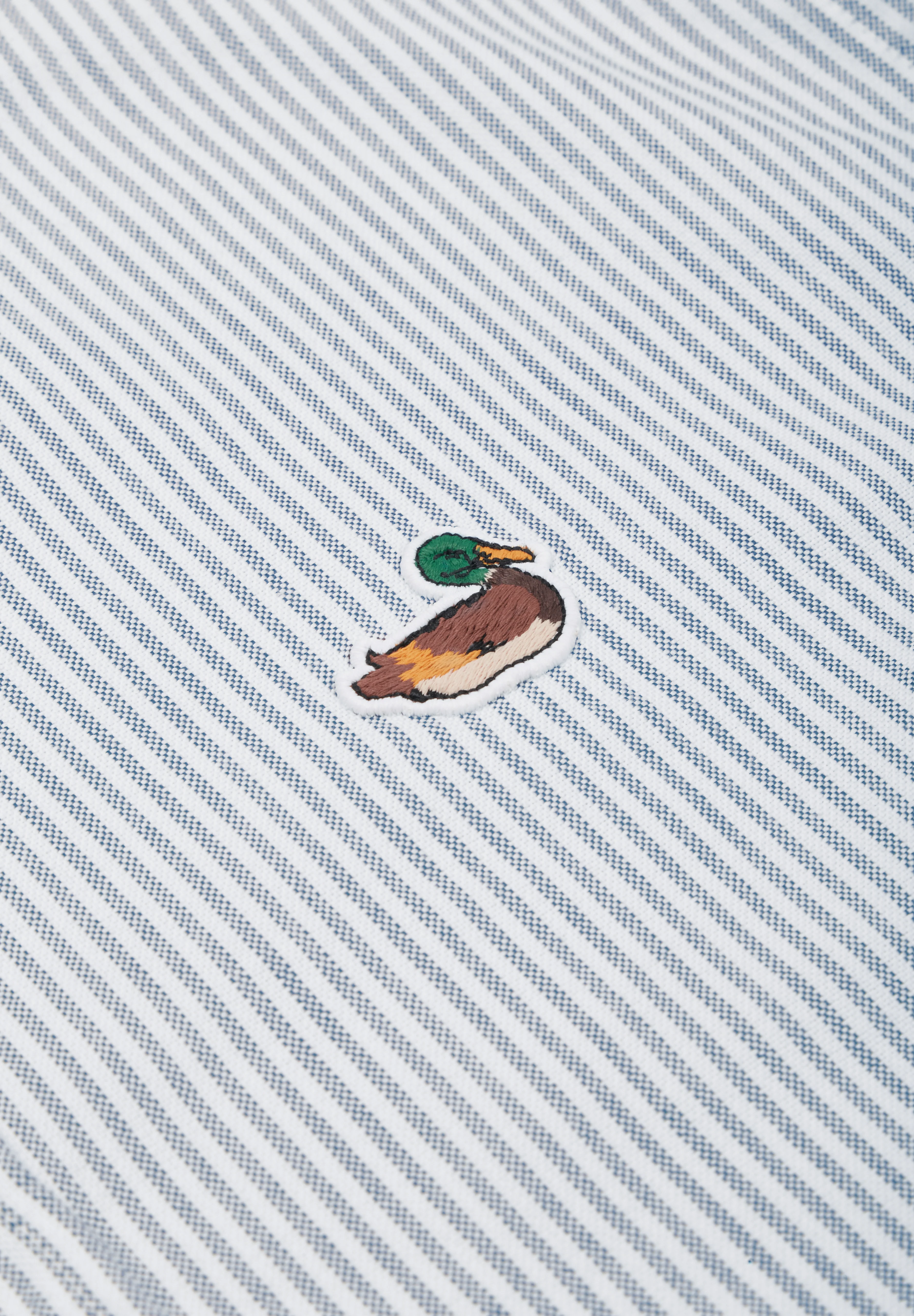 EDMMOND | CAMISA DUCK STRIPED - Image 4